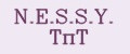 N.E.S.S.Y. ТпТ