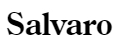 Salvaro Home