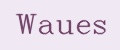 Waues