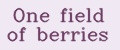 One field of berries