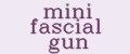 mini fascial gun
