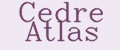 Cedre Atlas