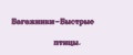 Багажники-Быстрые птицы.