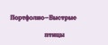 Портфолио-Быстрые птицы