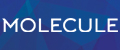 MOLECULE/МОЛЕКУЛА