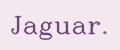 Jaguar.