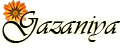 Gazaniya