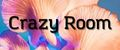 Crazy Room