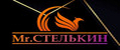 Mr. СТЕЛЬКИН
