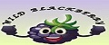 WildBlackberry