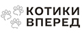 котики вперед