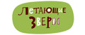 Аналитика бренда ЛЕТАЮЩИЕ ЗВЕРИ на Wildberries
