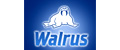 Аналитика бренда Walrus на Wildberries