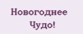 Новогоднее Чудо!