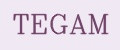 TEGAM