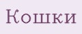 Кошки