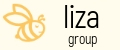 liza group