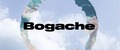 Bogache