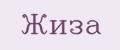 Жиза