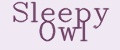 Sleepy Owl