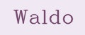 Waldo