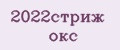2022стриж окс