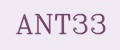 ANT33