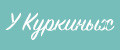 У Куркиных