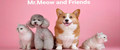 Mr.Meow and Friends