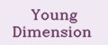 Аналитика бренда Young Dimension на Wildberries