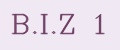 B.I.Z 1