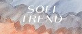 Аналитика бренда SofiTrend на Wildberries