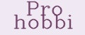 Pro hobbi