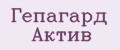 Гепагард Актив