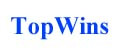 TopWins