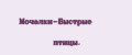 Мочалки-Быстрые птицы.