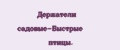 Держатели садовые-Быстрые птицы.
