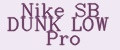 Nike SB DUNK LOW Pro