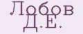 Лобов Д.Е.