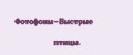 Фотофоны-Быстрые птицы.