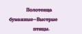 Полотенца бумажные-Быстрые птицы.