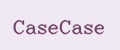 CaseCase