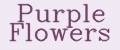 Purple Flowers