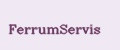 FerrumServis