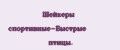 Шейкеры спортивные-Быстрые птицы.