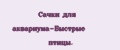 Сачки для аквариума-Быстрые птицы.