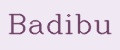 Badibu