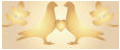 GOLDEN DOVE