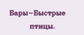 Бары-Быстрые птицы.