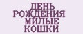 ДЕНЬ РОЖДЕНИЯ МИЛЫЕ КОШКИ